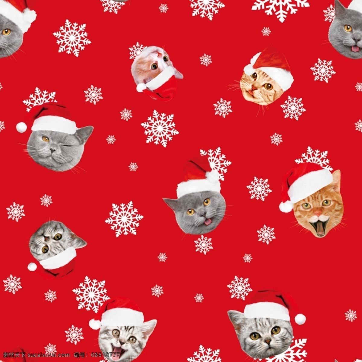 圣诞猫图片 圣诞猫 乱花大牌 数码印花 乱花 手绘花 数码印花素材 印花图案 大牌 分层