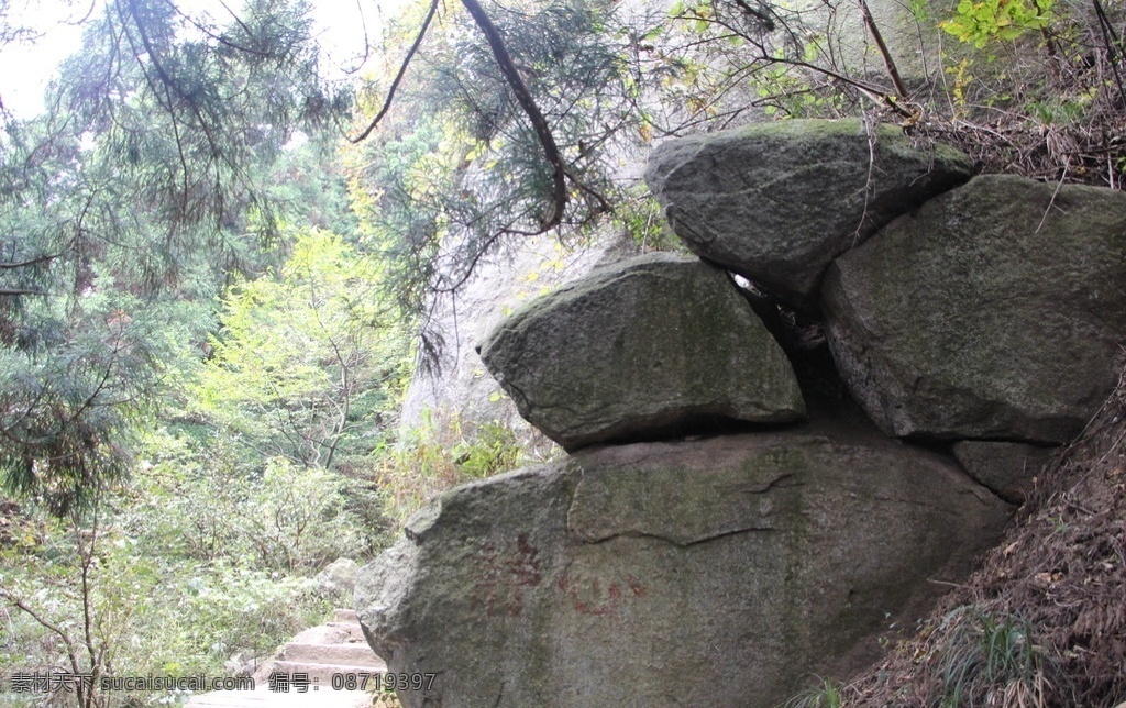 石头 衡山石 阶梯 树林 草丛 自然景观 自然风景