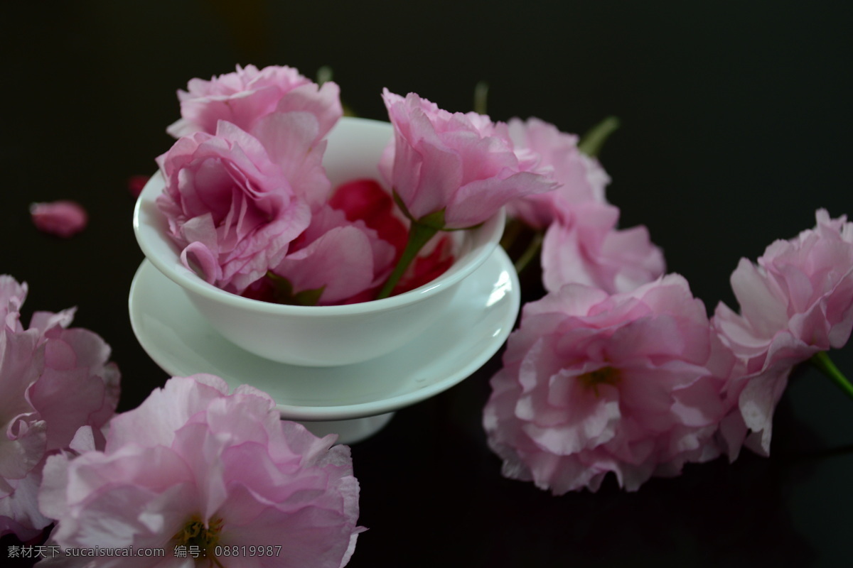 瓷器 花 茶杯 粉红色 粉色 白色 黑褐色 厚重感 文化 传统文化 文化艺术