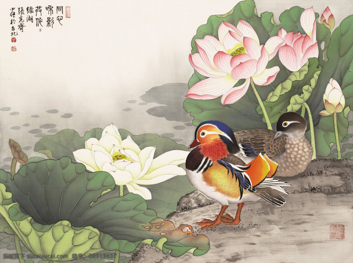 鸳鸯荷花 国画 工笔 花鸟 花鸟画 工笔花鸟画 花鸟国画 艺术绘画 文化艺术 绘画书法