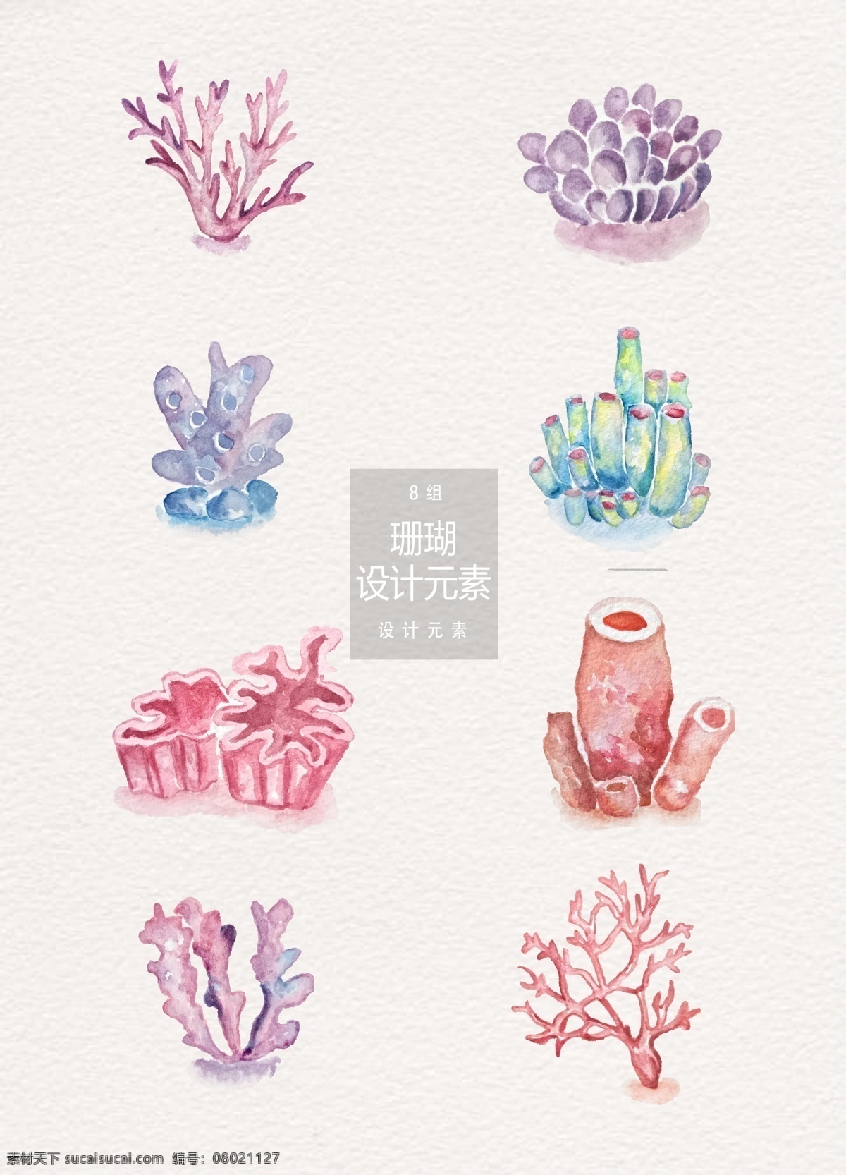 水彩 珊瑚 元素 海底 海洋 设计元素 海草 水彩珊瑚 手绘珊瑚