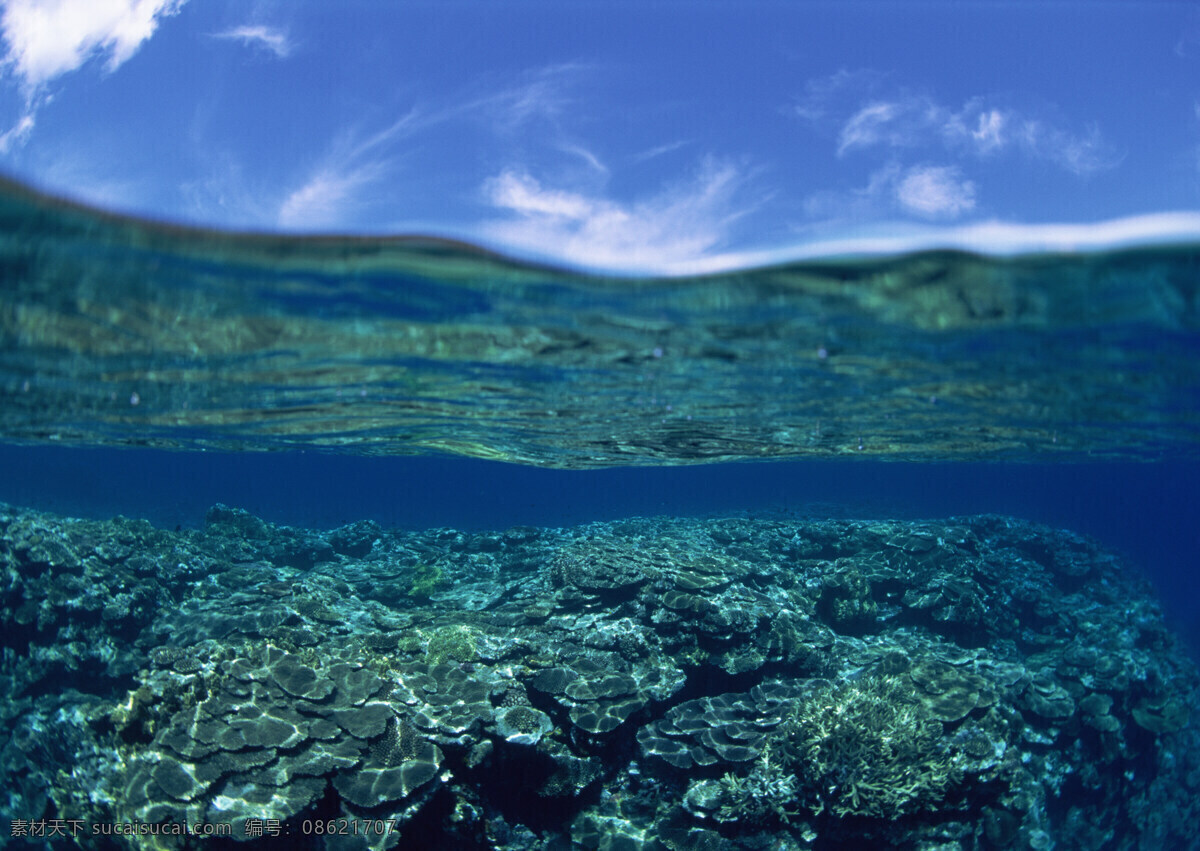 海底风光 大海 大海的图片 大海图片 海水 海洋 摄影图库 自然风景 底风光 大海图 大海照片 大海景色 自然景观 风景 生活 旅游餐饮