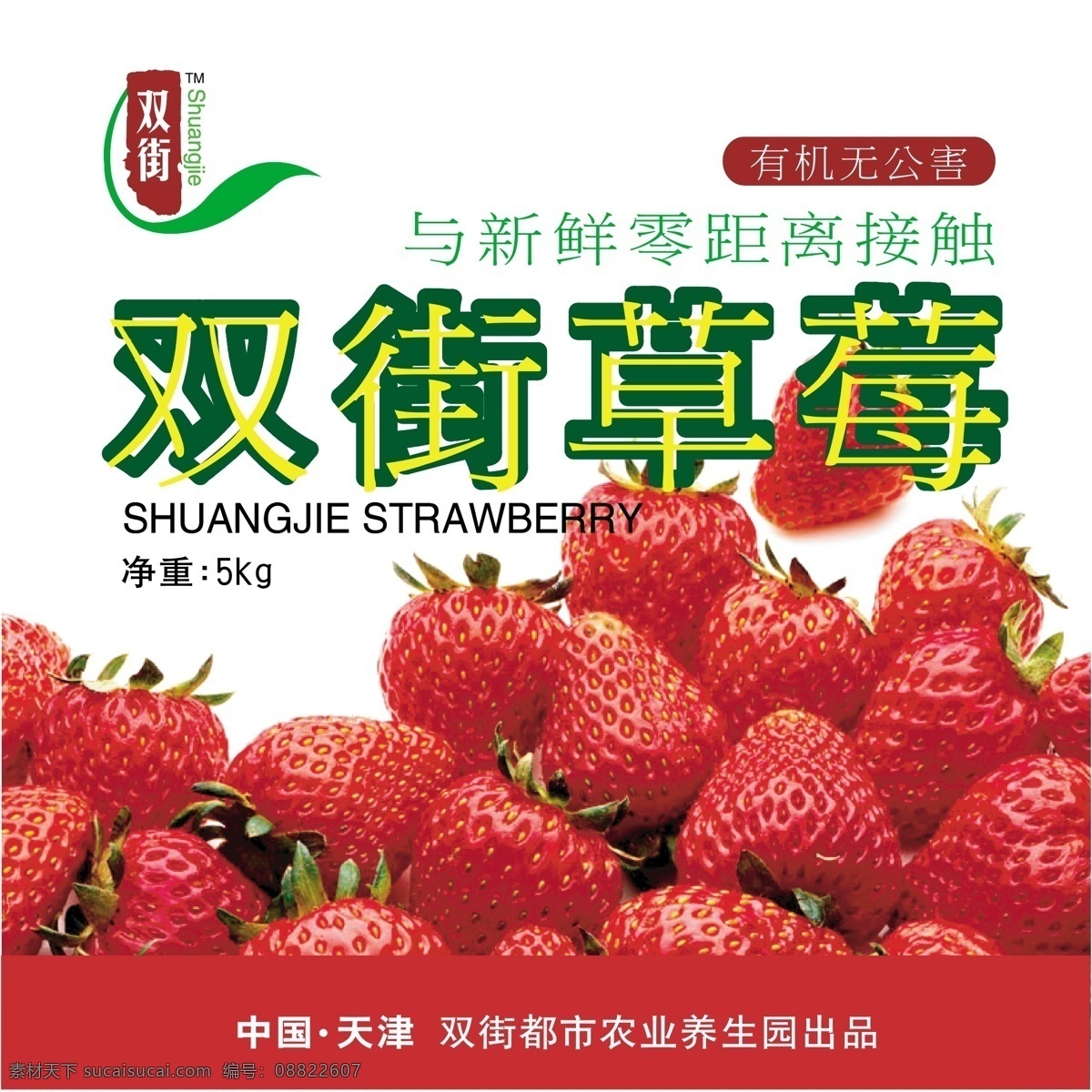 草莓标签 草莓 标签 瓶签 水果 海报 单页 白色