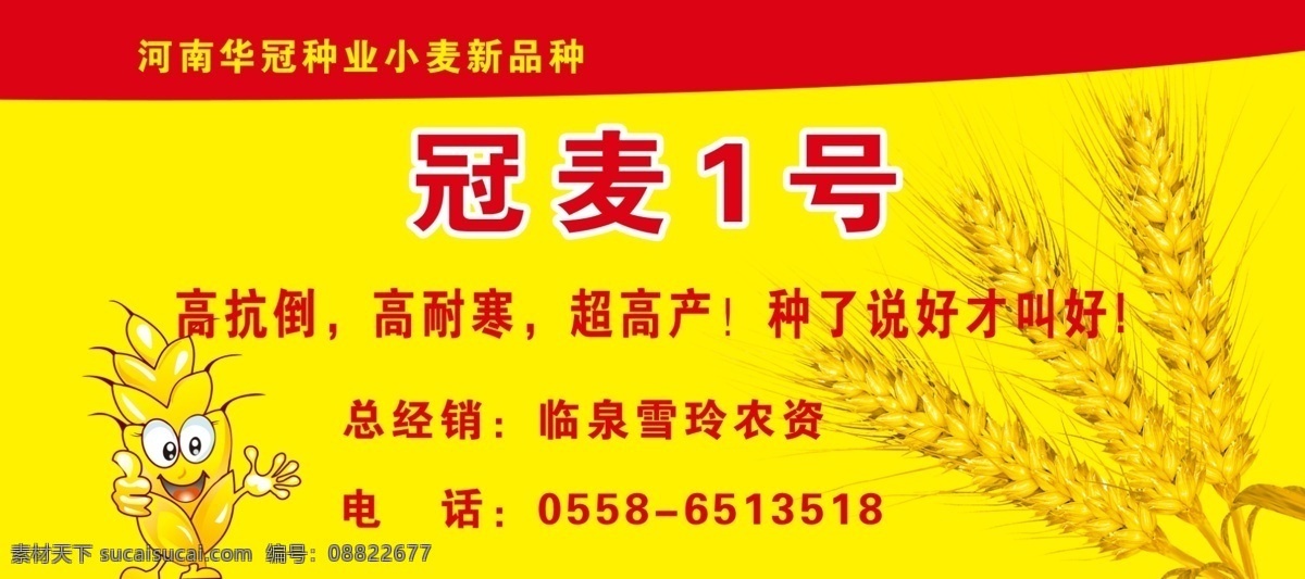 冠麦1号 小麦 卡通麦子
