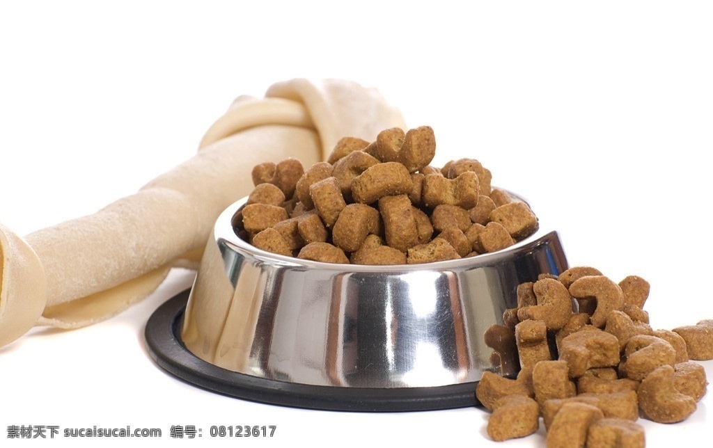 狗粮 食物 狗盆 宠物用品 高清 餐饮美食