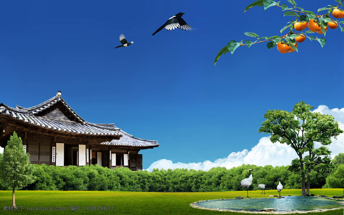蓝天草地背景 草原 蓝天 白云 背景 草原背景 蓝天白云 绿草地 草地 高清 绿草 草地背景 草地蓝天 绿草地背景 草地天空 高清草地 天空草地 草地风景 自然景观 自然风景