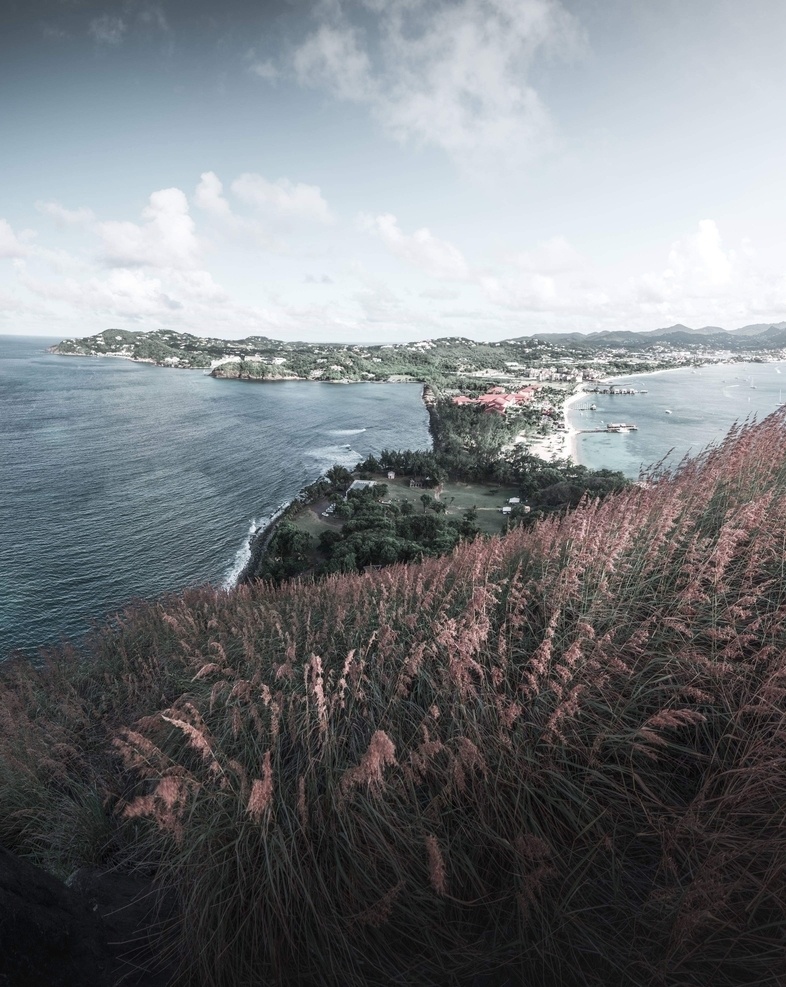 海岸山坡 旅游 欧美 海岸 山坡 植物 拍摄 摄影类 自然景观 自然风景
