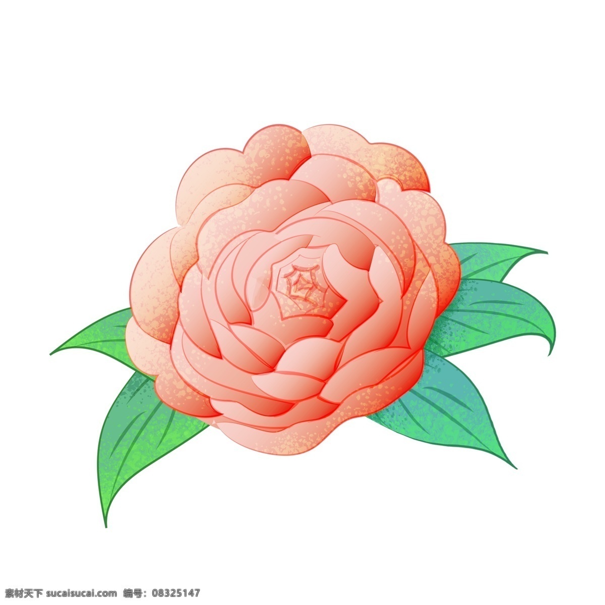 工笔 绘画 手绘 古风 唯美 优雅 山茶花 传统 画 花卉 花草 中国风 国画 山茶 花 装饰图案 手绘芙蓉花