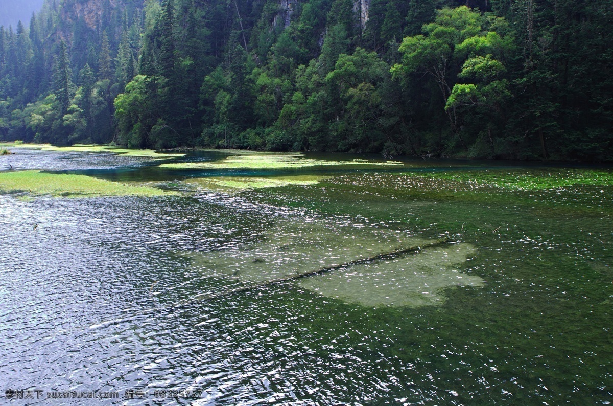 九寨沟 日则沟 宝镜岩 盆景滩 芦苇海 翠海 叠海 彩林 国内旅游 旅游摄影