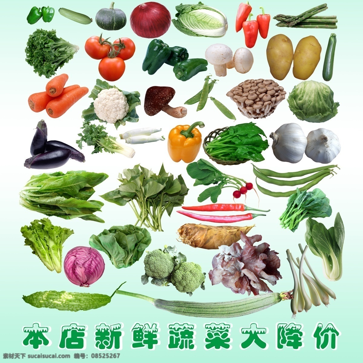蔬菜分层设计 蔬菜 茄子 西红柿 蔬菜总汇 蒜 油麦菜 辣椒