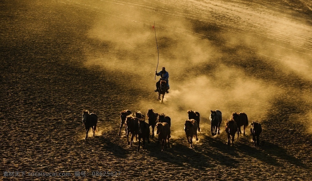 坝上 万马奔腾 尘土飞扬 乌兰布统 克什克腾旗 秋色 金秋 金秋坝上 自然景观 自然风景
