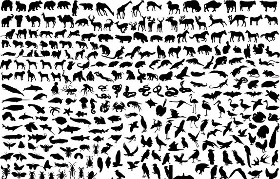 各种动物剪影 各种 动物 剪影 家禽 野兽 形状 图标 矢量素材 其他矢量 矢量