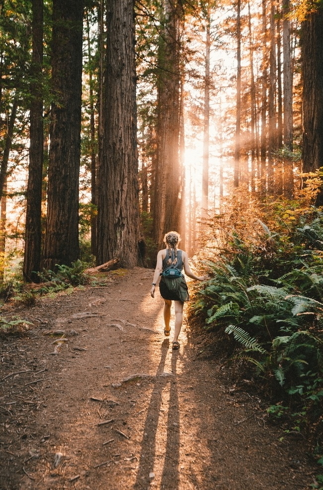 进山女人 女人 美女 萝莉 小仙女 小美女 少女 逆光 森林 深山老林 树林 大山 山路 徒步 探险 进山探险 旅行 秘境 深山 老林 自然 文艺 唯美 自然景观 自然风景