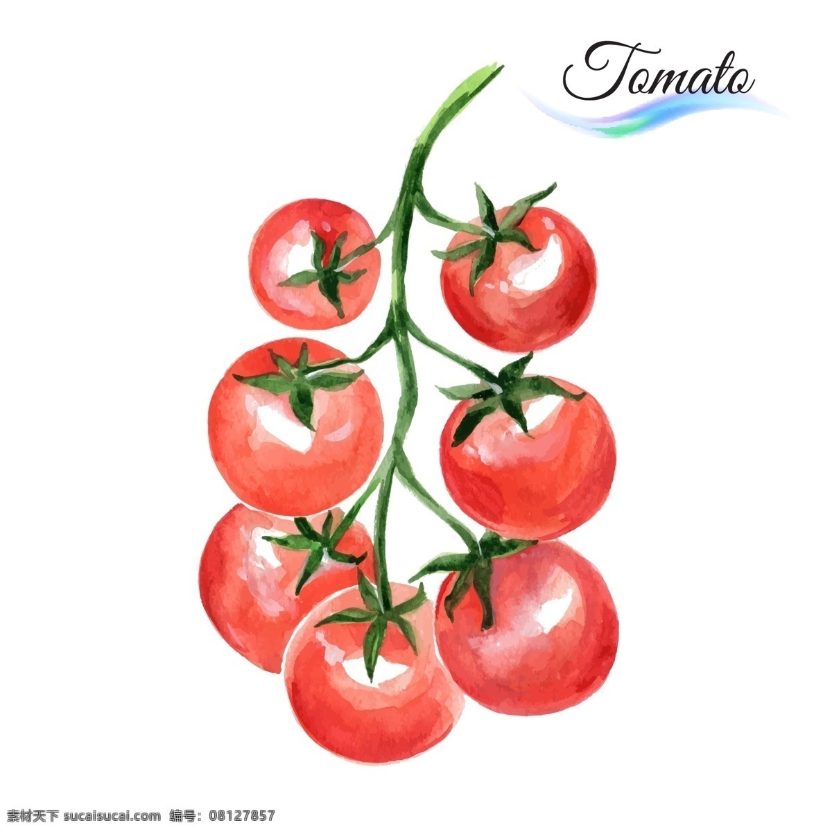 蔬菜西红柿 蔬菜 大红西红柿 手绘西红柿 卡通西红柿 番茄 手绘番茄 设计小元素 卡通设计
