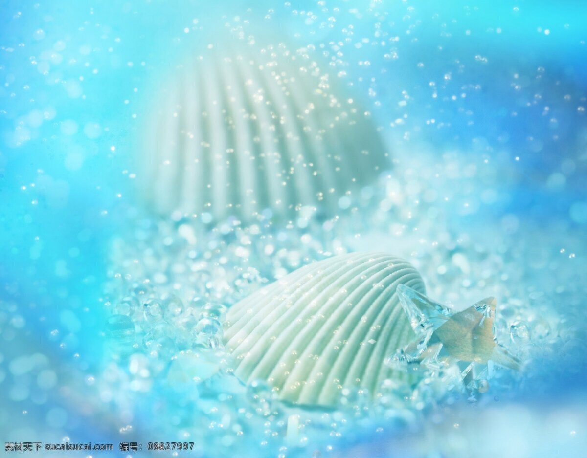 花素材背景 花纹花边 花纹素材 花纹边框 古典 底纹 底纹边框 金色框 花带 花瓣 花边 边框相框花纹 花背景 花草素材 花草边框 花 鲜花 花草 布匹 花卉 数码印花 定位 花印 花型 大花 裙子 花边设计 花框 水彩 花儿 花朵 婚礼素材 婚礼 婚礼设计 水墨 彩色 花纹 鲜花图案 花底 其他素材