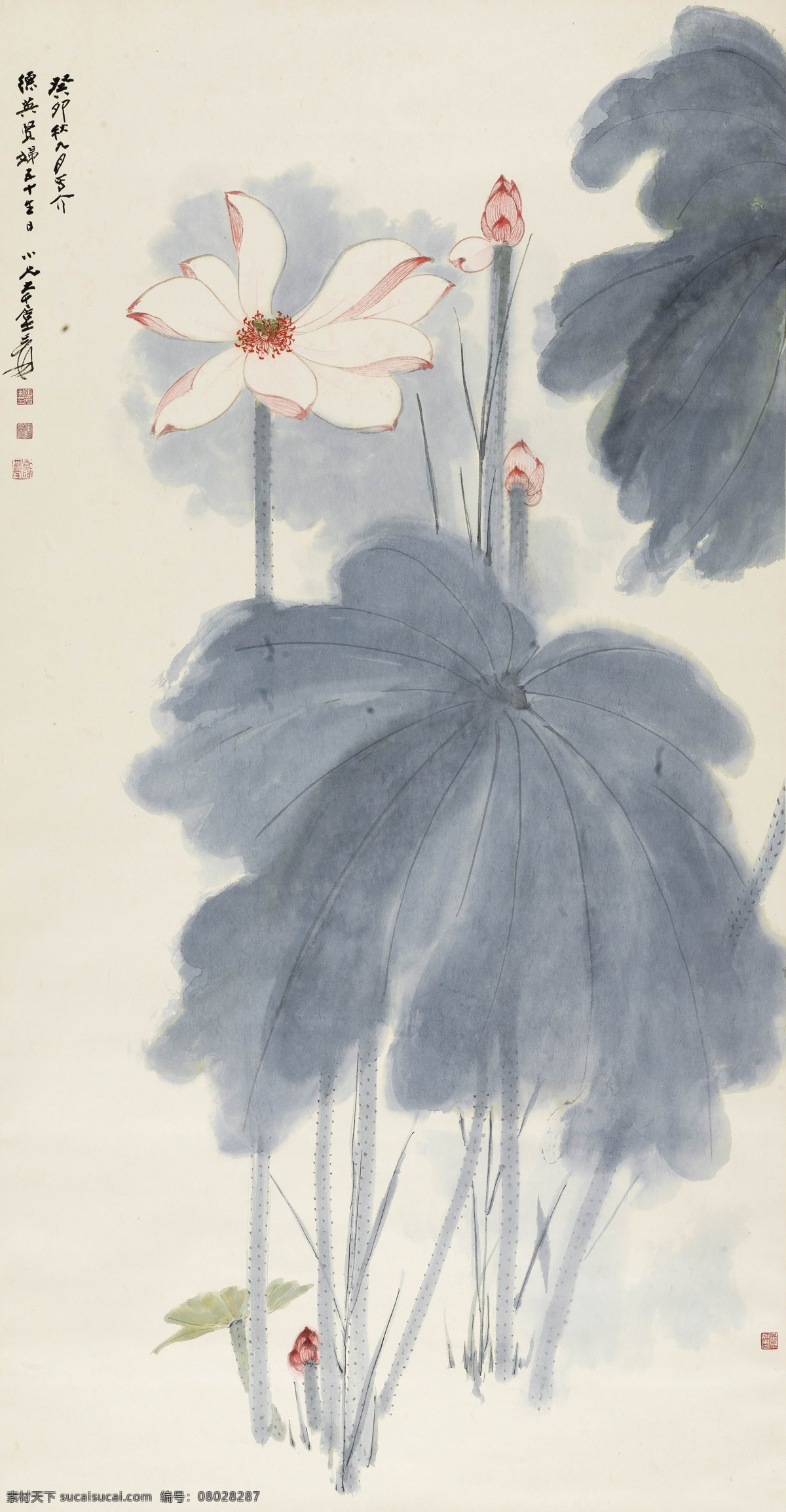 荷花 赵少昂 国画 写意 水墨画 中国画 绘画书法 文化艺术 国画赵少昂