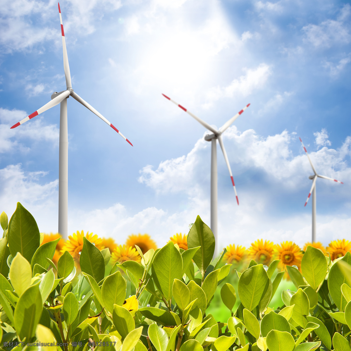 户外 唯美 风力发电机 太阳能电池 蓝天 白云 天空 花丛 向日葵 设计素材 其他类别 现代科技