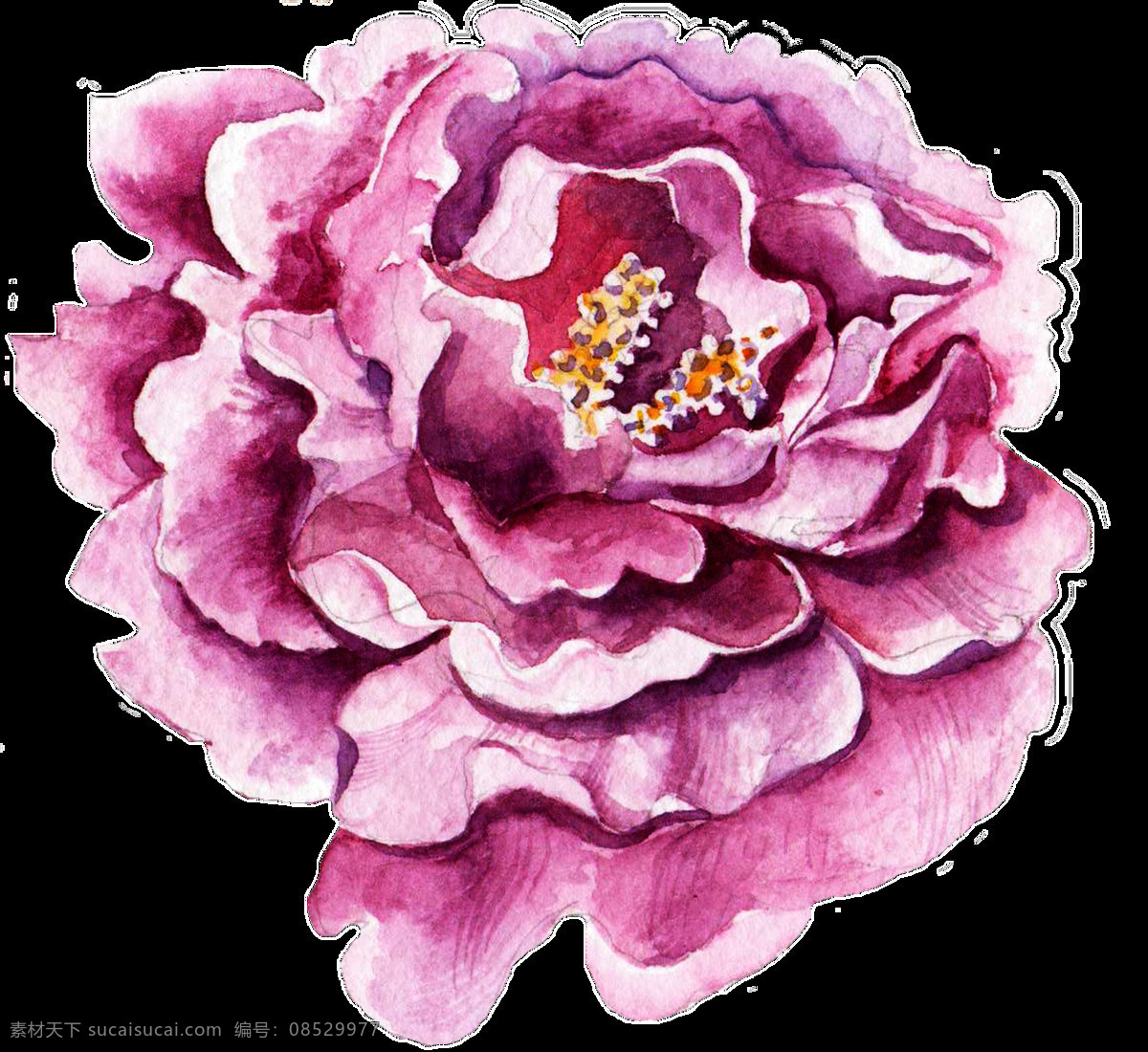 紫白 花蕊 透明 装饰 粉色 花朵 免扣素材 透明素材 装饰图案