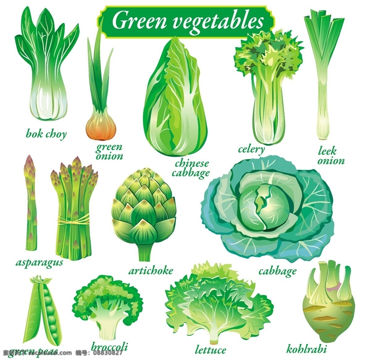 蔬菜免费下载 白菜 豆角 花菜 蔬菜 矢量图 日常生活