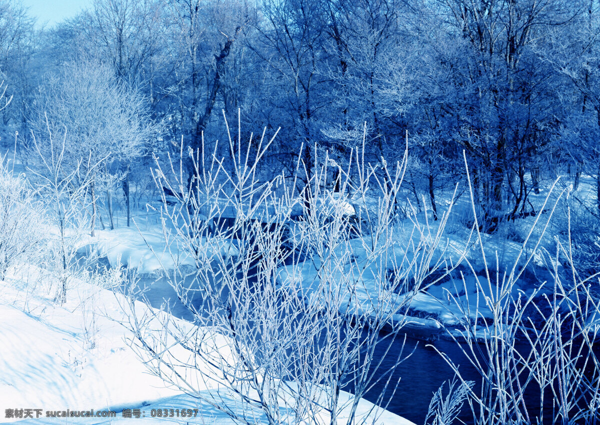 冬雪 雪 风景 树 冬季 河 自然风景 自然景观 蓝色