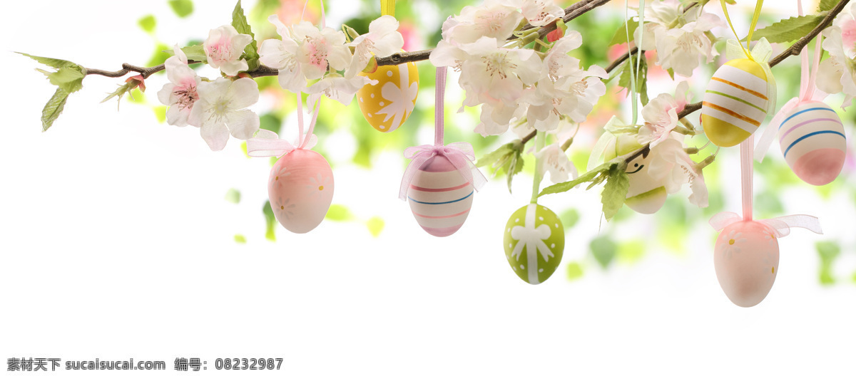 树枝 上 挂 彩蛋 花朵 鲜花 复活节彩蛋 彩蛋摄影 复活节素材 复活节主题 节日庆典 生活百科 白色