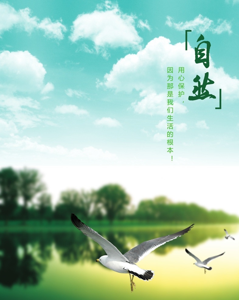 爱护 大自然 海报 自然 公益广告 海鸟 唯美 白云 绿水 绿林 广告设计模板 源文件