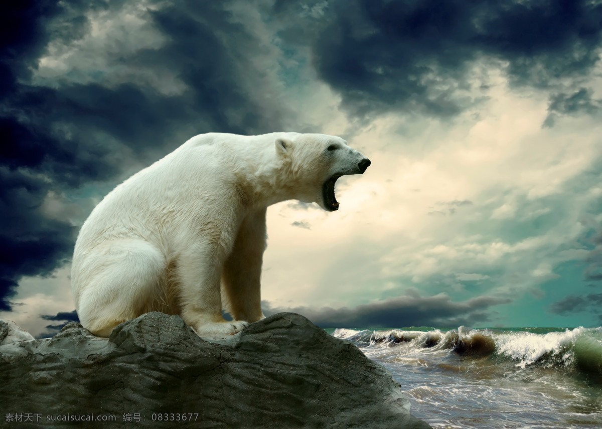 北极熊 大海 天空 海边 礁石 梦幻 震撼 美丽 摄影艺术 动物写真 乌云 怒吼 狂野 海浪 动物摄影 野生动物 生物世界