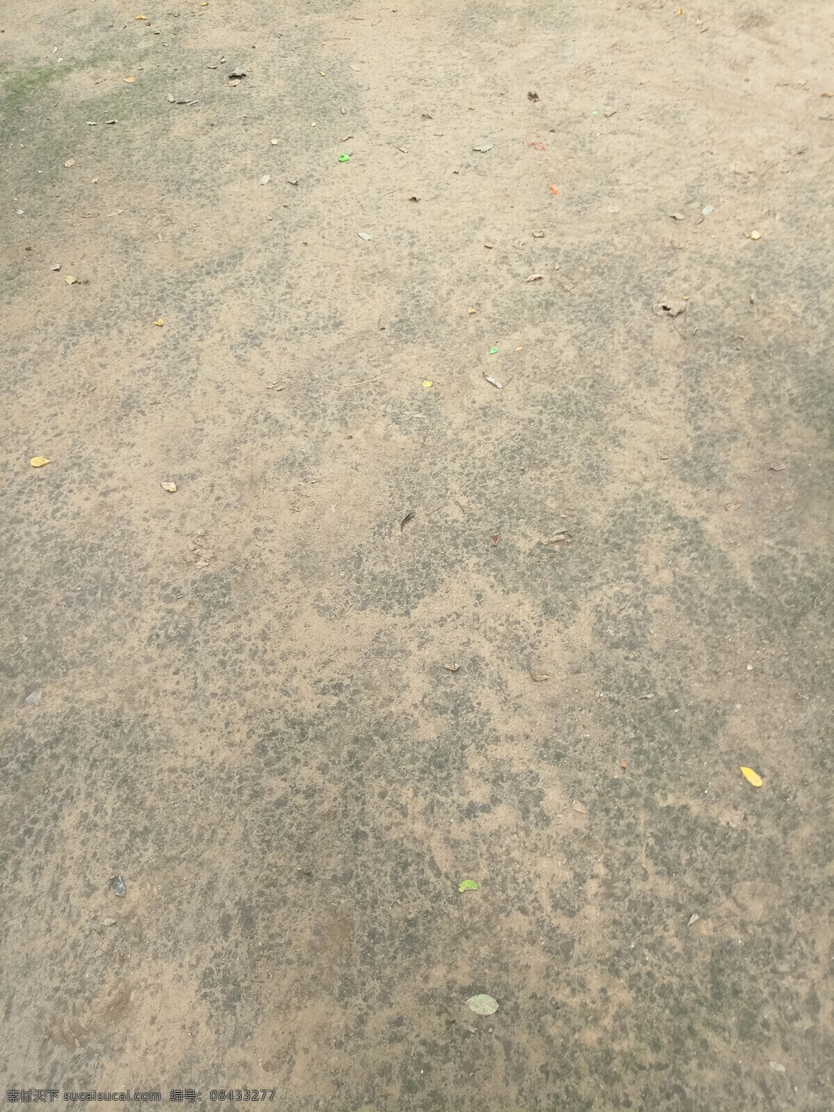 夏季土地面 苔藓 地面 草地 纹理 绿草 草纹 绿苔藓 绿苔 土地地面 自然景观