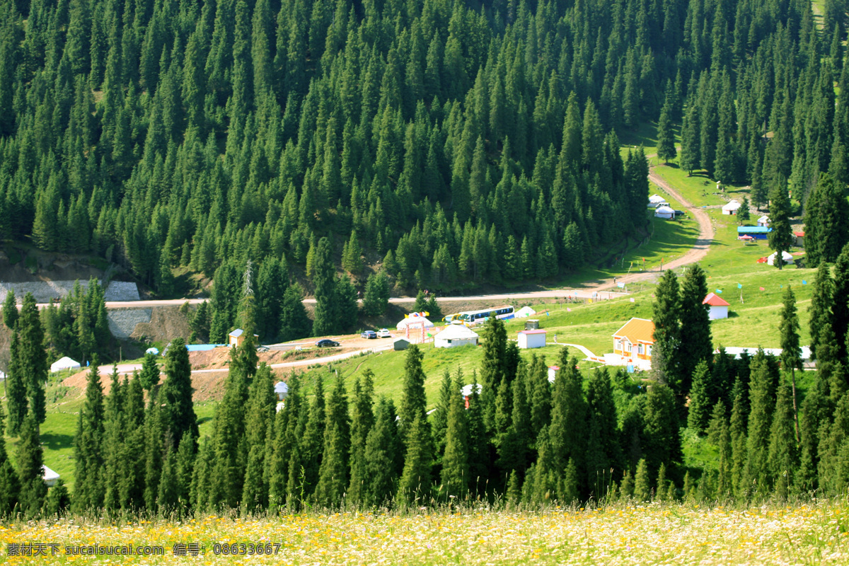 蒙古 风景图片 草原 国内旅游 旅游摄影 旅游胜地 蒙古包 松树 峡谷 蒙古风景 psd源文件