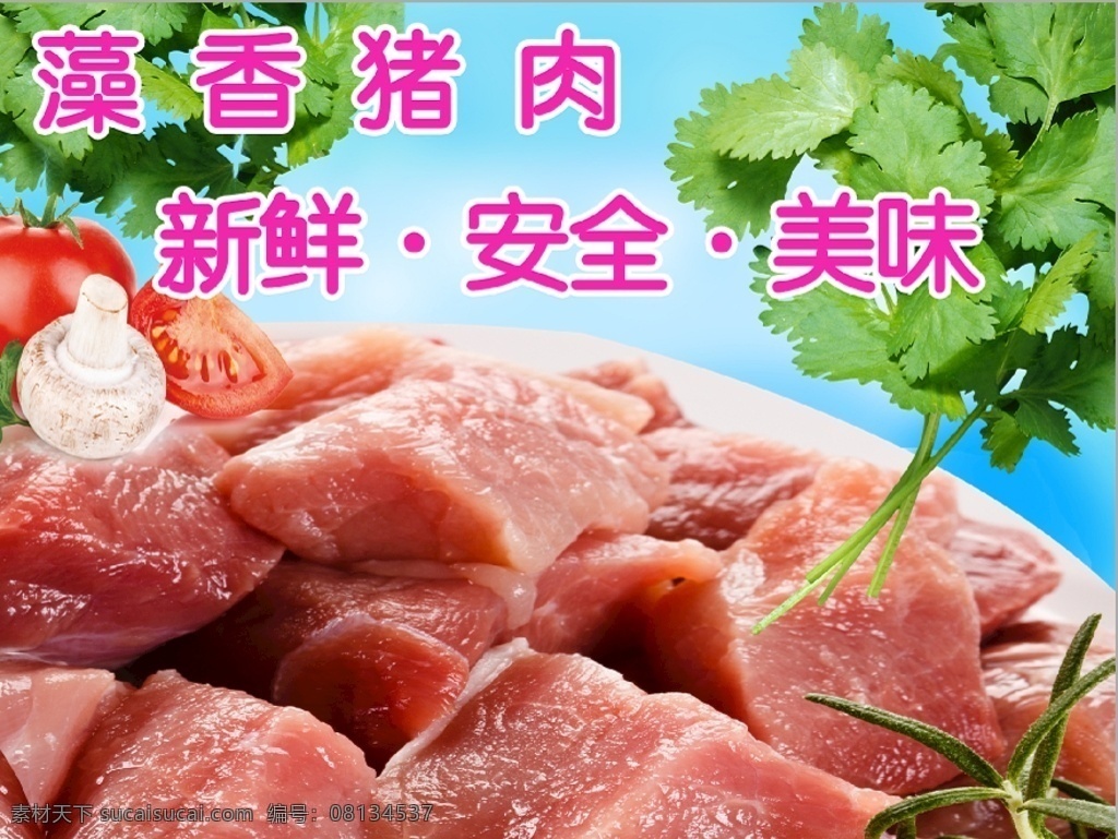 藻 香 猪 黑 猪肉 新鲜肉 写真 宣传海报 新鲜 黑猪肉 新鲜食材 香菜 生鲜店 海报 绿色食品 健康食品 纯天然猪肉 天然食材