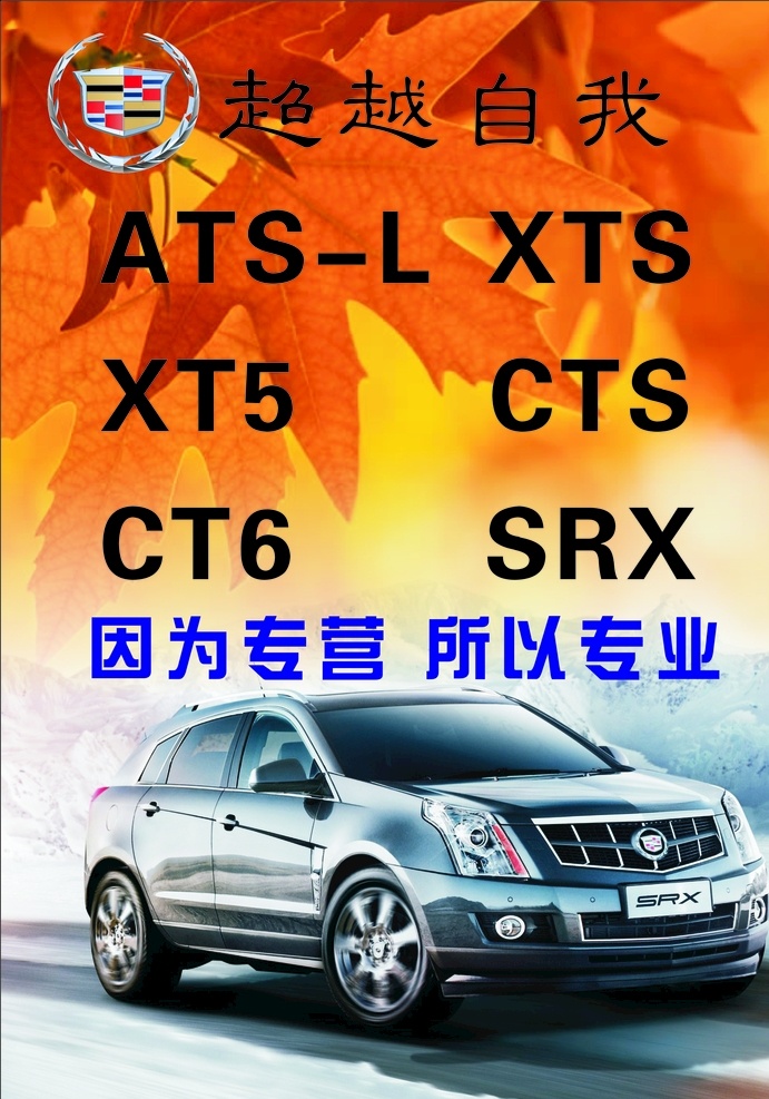 xxxx 凯迪拉克 汽配 专营 枫叶 汽车 广告 专业 海报