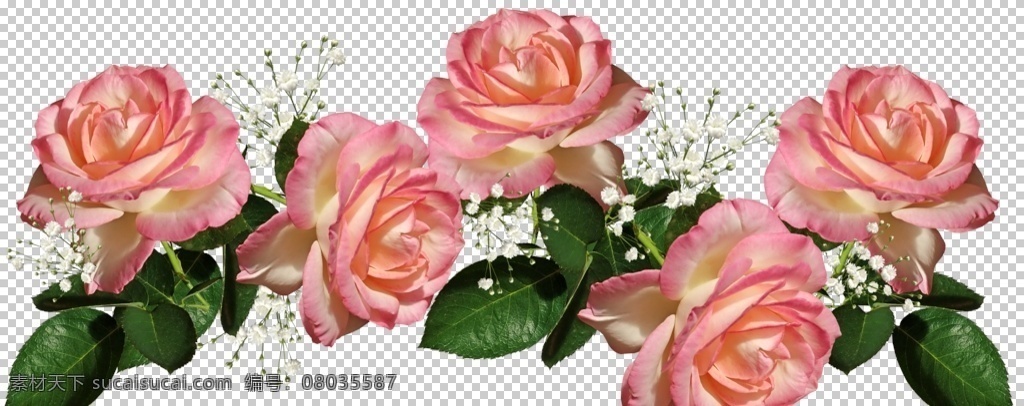 花朵 各类花 装饰花 矢量 花 插画 杂七杂八 广告 植物 花草 生物世界