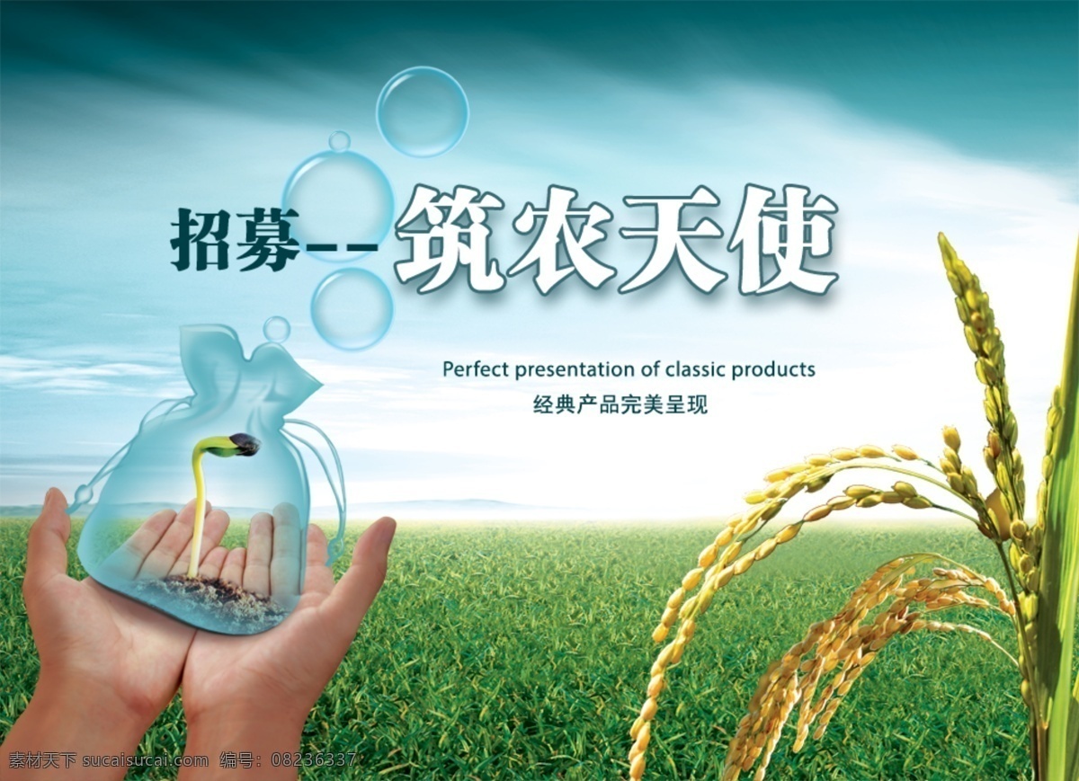 筑农天使 助农招募 招募天使 招募广告 助农海报