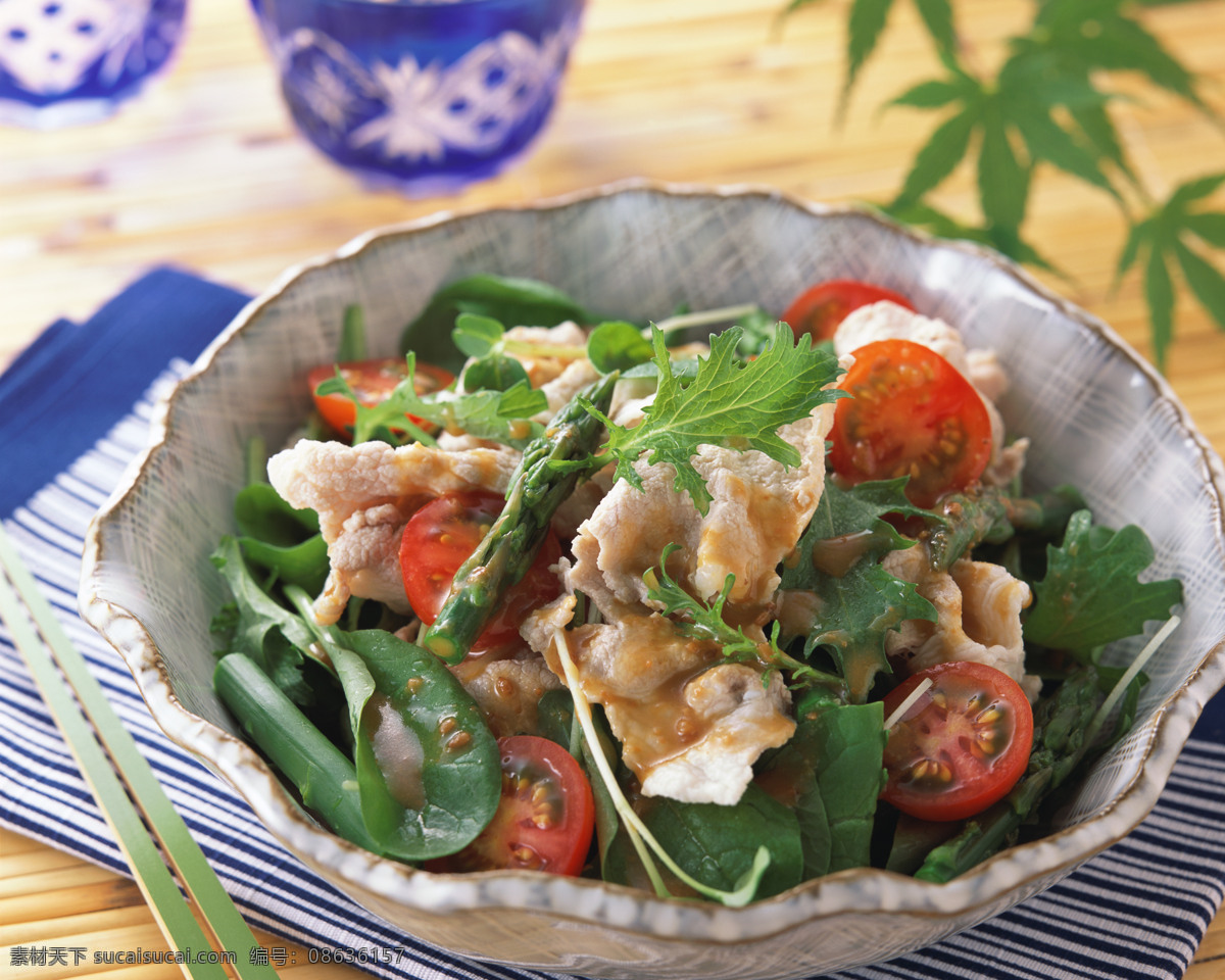 蔬菜 色拉 餐饮美食 瓷盘 绿叶 肉片 摄影图库 西红柿 蔬菜色拉 生蔬菜 风景 生活 旅游餐饮