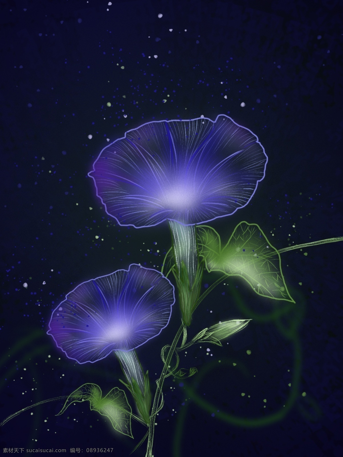 唯美 植物 独特 透明感 神秘 紫色 牵牛花 背景 独特透明感 叶子 绿色 神秘色彩 光点 海报背景