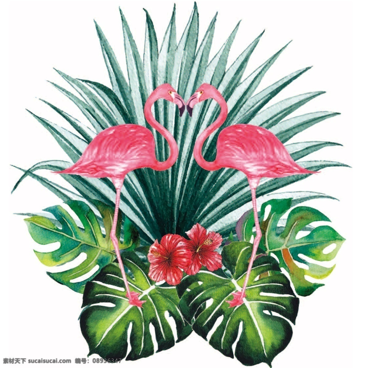 火烈鸟 热带叶子 热带素材 叶子 绿色植被 婚礼素材 生物世界 树木树叶