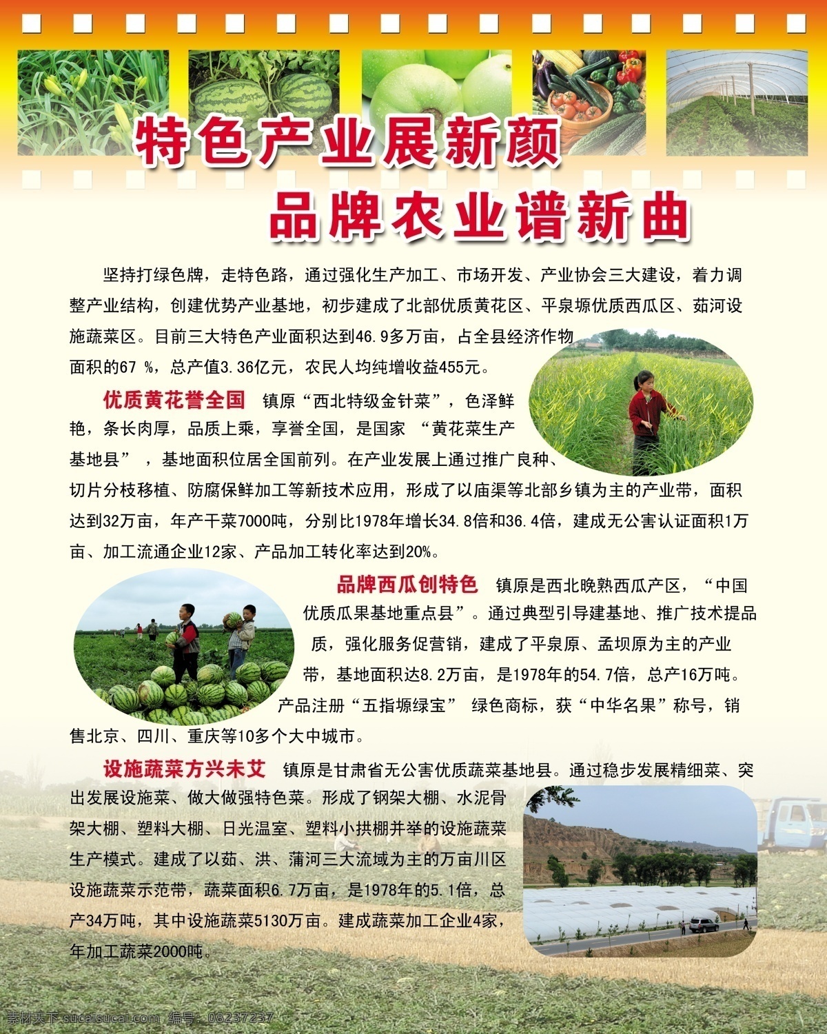 背景 产业 大棚 广告设计模板 国内广告设计 农业 设计图 蔬菜 特色产业 特色 展板 黄花菜 西瓜 设施蔬菜 源文件
