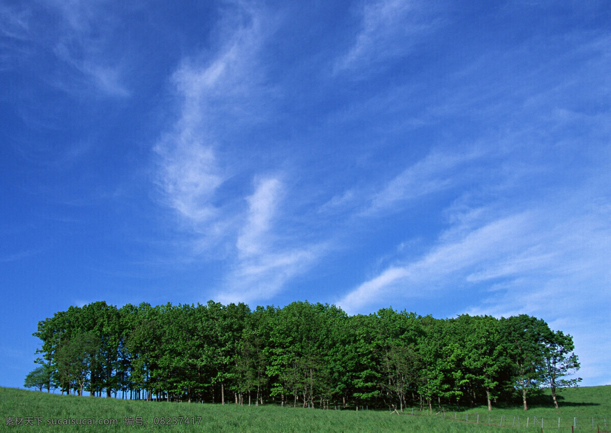 自然景观 草地 草原 蓝天 山丘 天空云彩 云彩 风景 生活 旅游餐饮