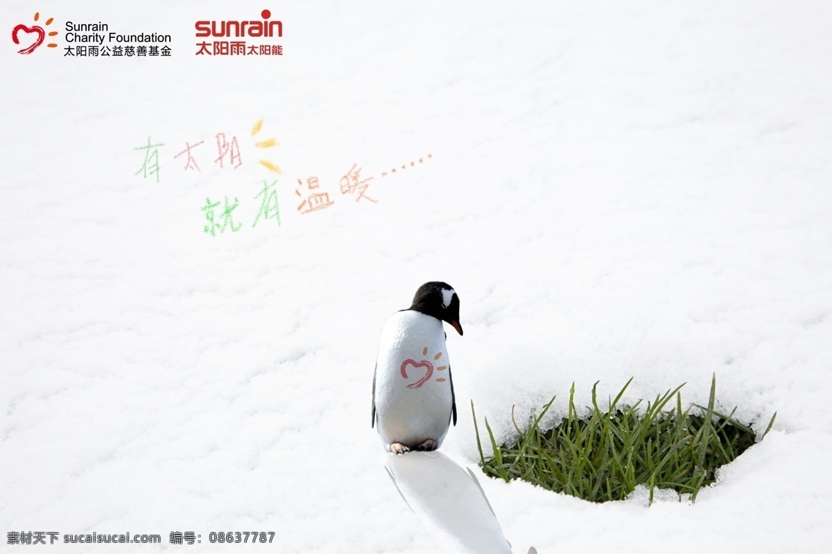 爱心 慈善 公益 广告设计模板 基金 南极 企鹅 太阳雨 广告 学院奖 雪地 太阳 源文件 环保公益海报
