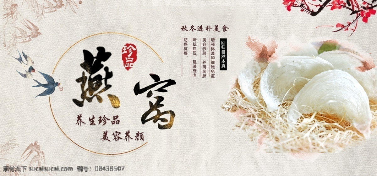 燕窝海报 养生珍品 美容养颜 冬季进补 美食