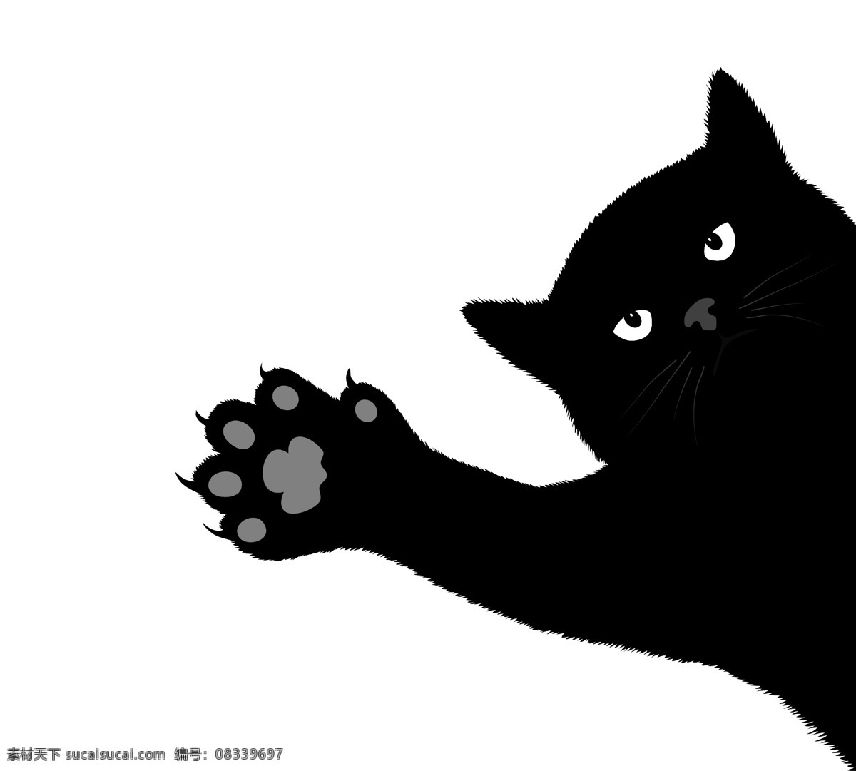 黑猫 动物 矢量 可爱