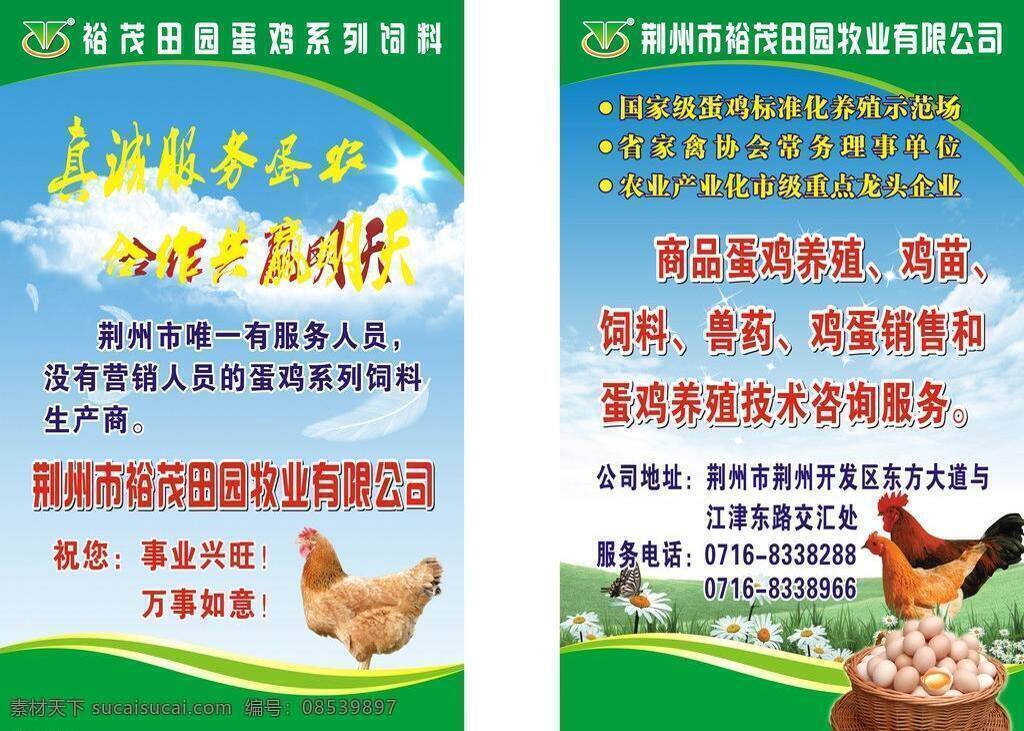 蓝天白云 饲料 文字效果 蛋鸡 易拉 宝文 矢量 模板下载 易拉宝文 易拉宝文件 边框效果 展板 易拉宝设计
