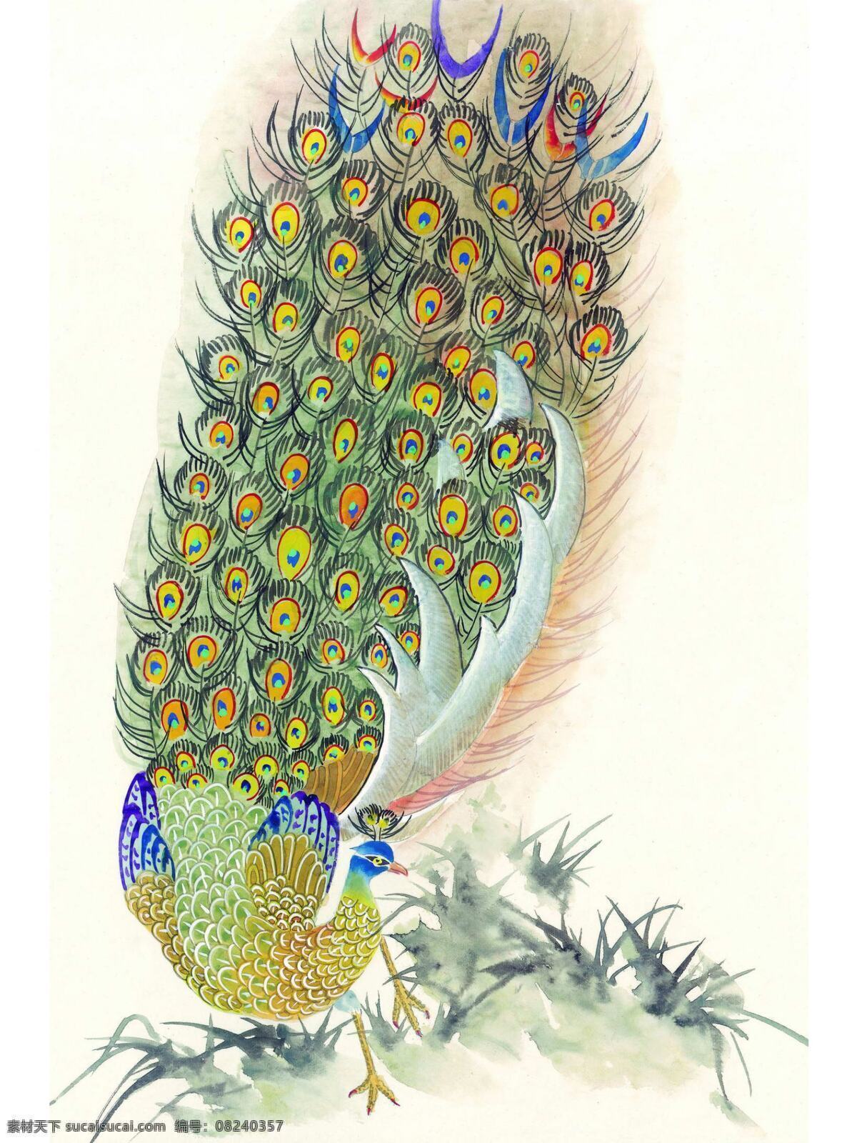 回眸 风姿 插画 工笔 孔雀 中国画 装帧设计 插画集