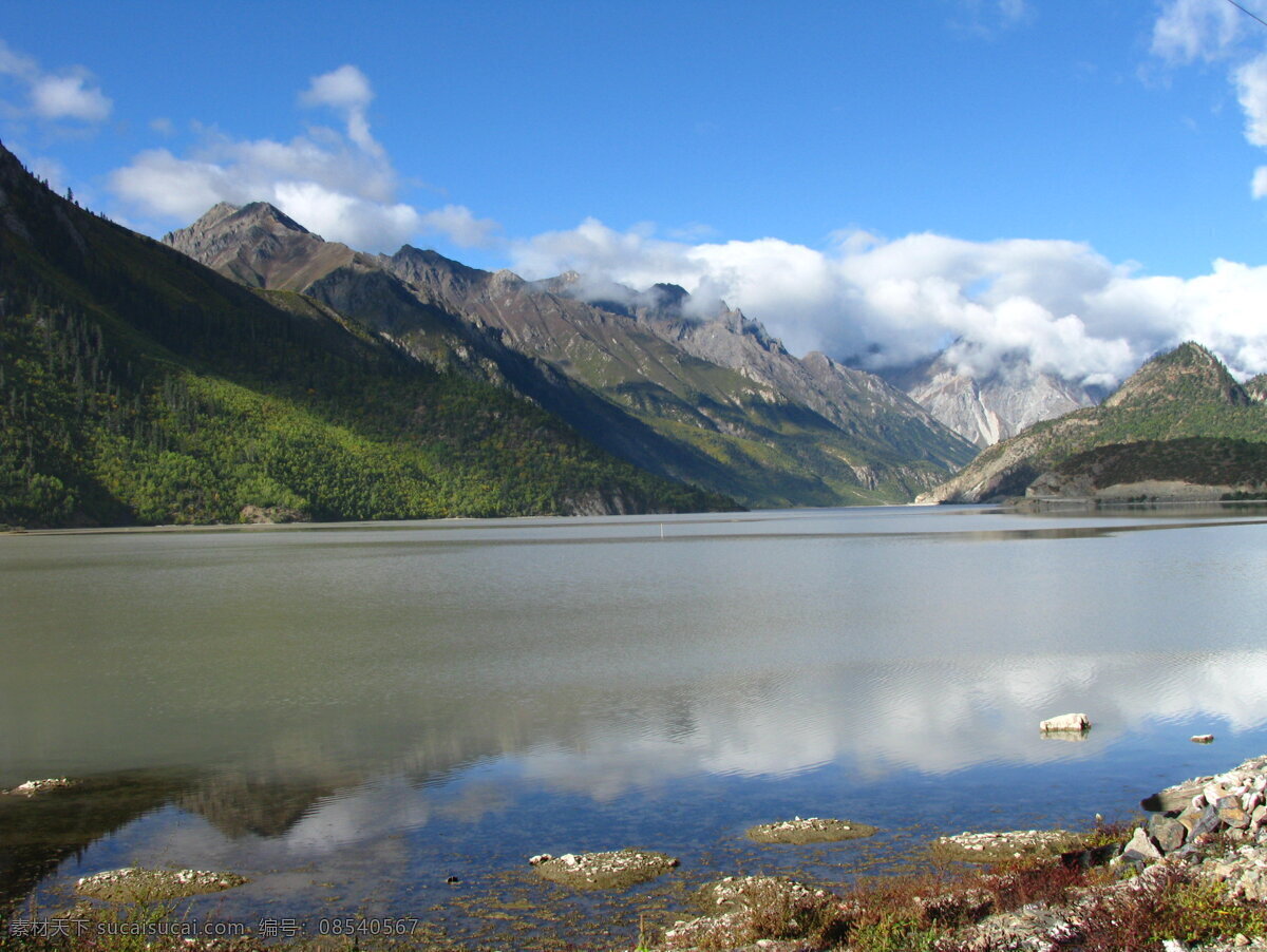 树免费下载 风景 山水风景 摄影图 树 植物 自然景观 水 家居装饰素材 山水风景画