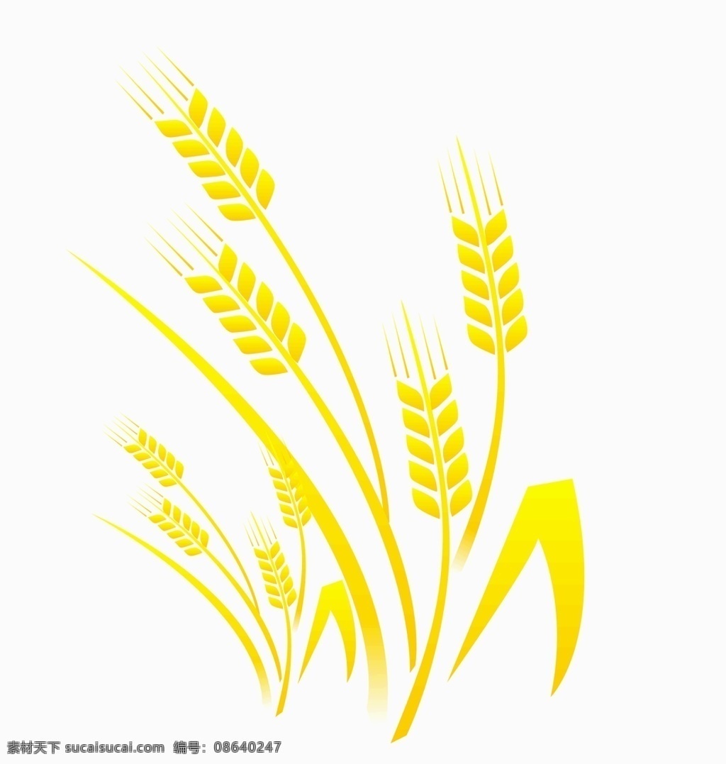 小麦 麦穗 图案 麦穗图案 金色 文化艺术 绘画书法