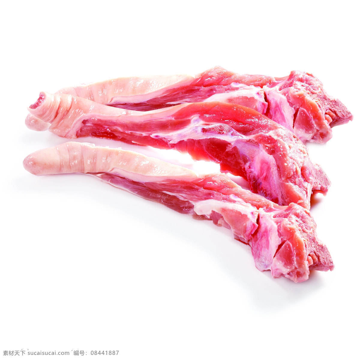 猪尾骨 肉 猪肉 荤菜 肉类 餐饮美食 食物原料
