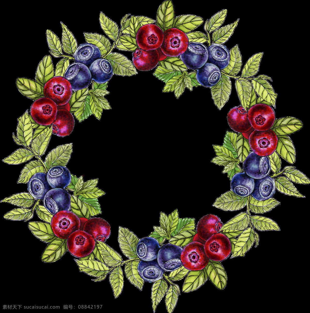 手绘 蓝莓 树叶 花环 透明 装饰 图案 红色 装饰图案 免扣素材 绿色