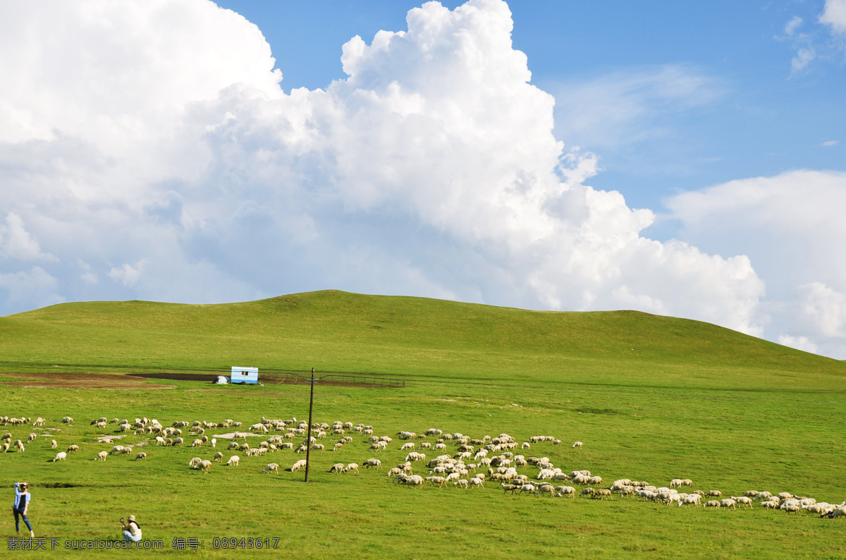 呼伦贝尔 海拉尔 草原 蓝天 云 旅游 羊群 空气 自然景观 自然风景 白色
