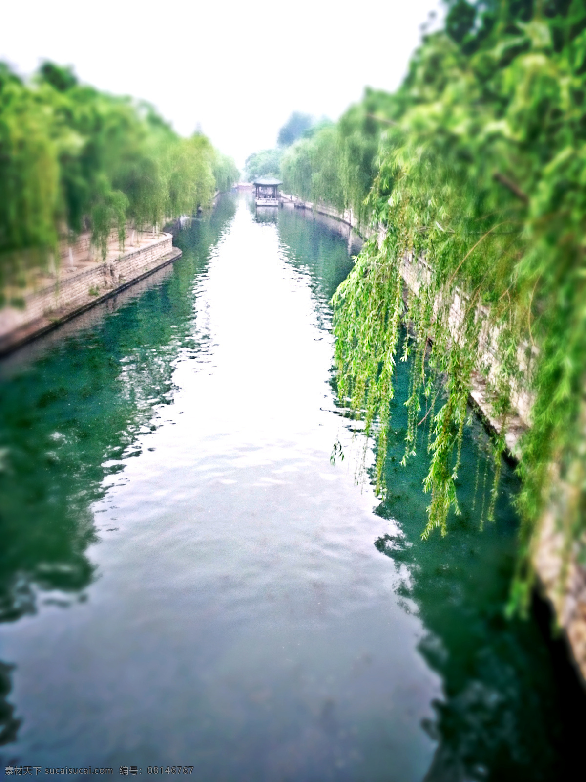 大明湖 济南 湖水 柳树 山东 自然景观 自然风景