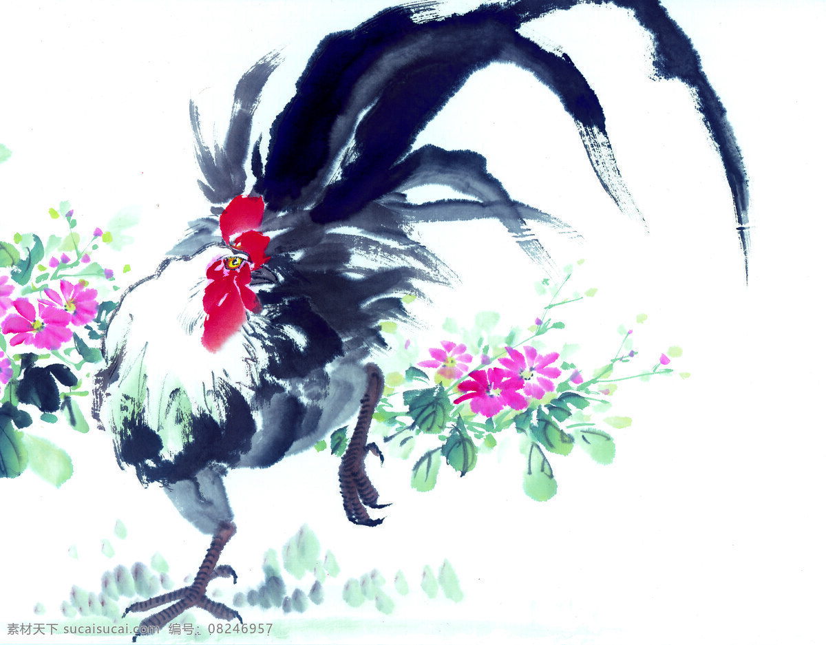 鸡 十二生肖 中国画 设计素材 中国画篇 书画美术 白色